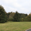 Création parc et jardin 