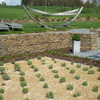 P1000557.jpg