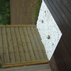 P1000306.jpg